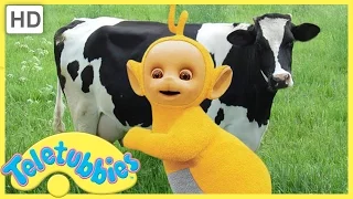 ★Teletubbies English Episodes★ Milking Cows ★ Full Episode - HD (S06E136)