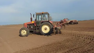 priprema za kukuruze Belarus 1221 & imt spremac 6m