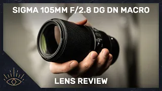 Sigma 105mm f/2.8 DG DN Macro Review - ULTIMATE PORTRAIT/MACRO COMBO?