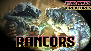 Rancors | Star Wars Creatures