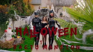 Halloween Party | 4K S-Log 10bit