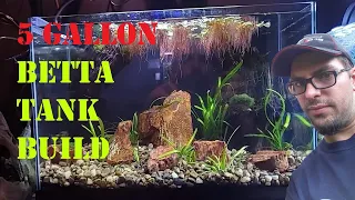 5 GALLON BETTA TANK BUILD | Planted Low-Tech Setup