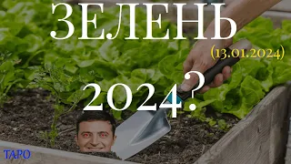ЗЕЛЕНЬ 2024? (13.01.2024)