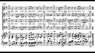 Bach: Christmas Oratorio III - 10. Ich will dich mit Fleiß bewahren - Koopman