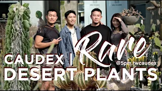 DESERSCAPE - Desert Botany in Taiwan | Rare Desert Plants, Cactii And Unique Caudiciform Tour