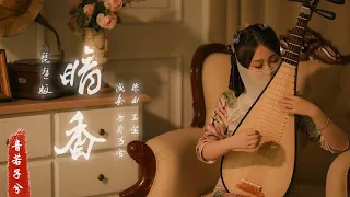 【琵琶Chinese Pipa】沙宝亮《暗香》一曲琵琶音暗香残留  心在灿烂中死去爱在灰烬里重生『音若子兮』   ▏國風音樂