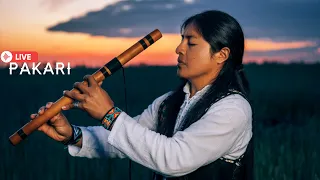 Pakari - Instrumental native flute music