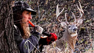 Top 3 DEER CALLING MISTAKES!