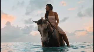 Yellow Trails Horseback Riding Antigua - Cinematic Commercial - Beach Horseback riding