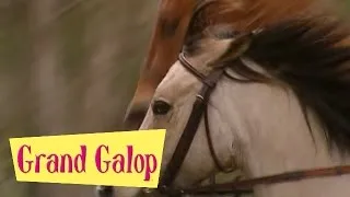 Grand Galop 201 - Un invité de marque (Partie 1) | HD | Épisode Complet