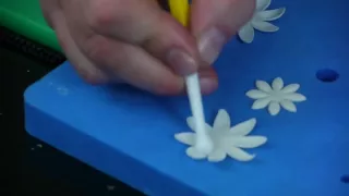 How to make a sugar daisy