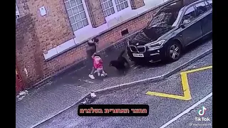 собака напала на детей и женщину