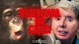 TRAGICZNA HISTORIA SZYMPANSA TRAVISA | Bestialski Atak czy nieporozumienie?