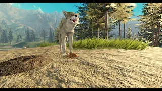 Yellowstone Unleashed Roblox Coyote
