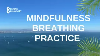 Mindfulness Breathing Practice (1 Minute) | Breathing Exercises | Breathing Techniques