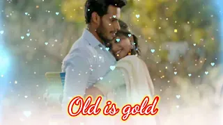 ❣️Old is gold status ||🥰🥰 Kumar Sanu Alka Yagnik song status || ❣️WhatsApp 90s songs status ❣️