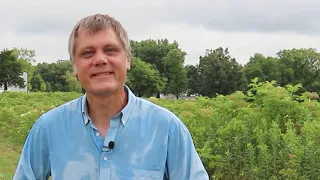 Growing Elderberries | Challenges and Practices | Alan Helland