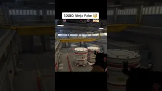 300IQ Ninja Fake🤯