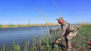 РУКИ УСТАЛИ, НЕ УСПЕВАЮ НАСАЖИВАТЬ! Рыбалка перед запретом.