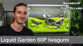 Liquid Garden 60P Iwagumi Aquarium Vorstellung | Liquid Nature