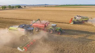 HARVEST 2020 - 2x CLAAS Lexion 780TT, 600, Axion 930, Horsch Titan 34 UW, Mercedes Benz Actros