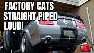 2006 Mustang GT Exhaust | LOUD 🔊 | Factory Cats with STRAIGHT PIPES 🇺🇸