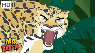 Creatures of the Caribbean | Monkeys, Sharks, Jaguars + more! [Full Episodes] Wild Kratts