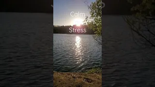 Calm your Stress 60 Second Meditation 🧘‍♀️