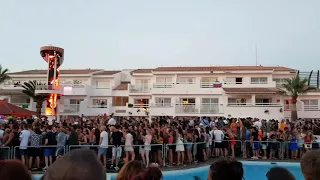 Ants at ushuaia Ibiza 2017