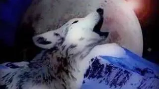 SAVE THE WOLVES 2