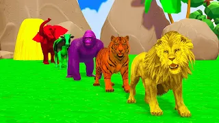 Paint Animals Game Duck,Gorilla,Cow,Dinosaur Fountain Crossing Transformation Animal Cartoon