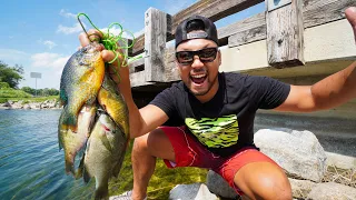 Bridge Fishing for GIANT Panfish! (CATCH CLEAN COOK)