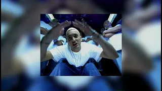 The Real Slim Shady - sped up/pitched