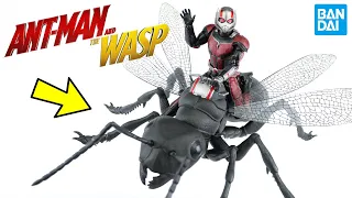 Review SH Figuarts Homem Formiga com Formigão Bandai - filme Ant Man and The Wasp / Toys e Travels