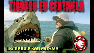 QUE SORPRESA NOS DIO!! PESCA DE TIBURON GATOPARDO VARIADA CENTINELA DEL MAR/ TE CUENTO DONDE QUEDA!!