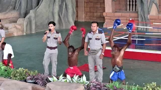 Funny Orangutan Boxing Show Must Watch - Orangutan Show at Phnom Penh City Zoo