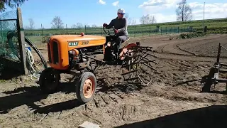 Fiat 211 ed erpice: livellamento terreno e preparazione letto di semina