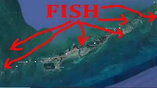 Marathon FLOrida Fishing: Step One: Prospecting Fishing Spots