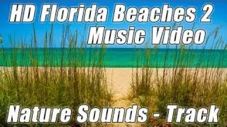Relax MUSIC STUDY #1 Classical Piano Jazz Playlist for studying MIX w Ocean Waves Nature Sounds