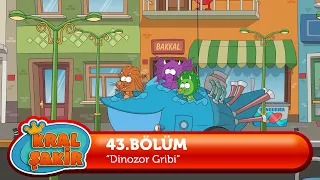 Kral Şakir 43. Bölüm - Dinozor Gribi