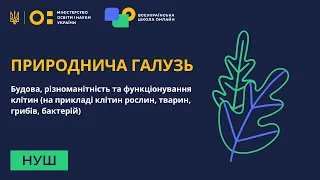 Природнича галузь. Будова, різноманітність та функціонування клітин рослин, тварин, грибів, бактерій