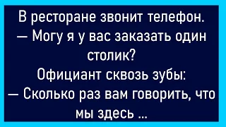 💁‍♂️Мужик Говорит Фотографу...Большой Сборник Смешных Анекдотов,Для Супер Настроения!