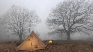 SOLO CAMPING in heavy FOGY with my DOG [ relaxing in the tent, cosy night, ASMR ]