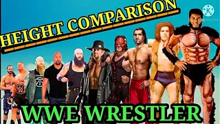 WWE WRESTLER HEIGHT COMPARISON//ROMAN_BROCK_THE ROCK