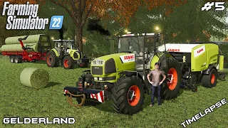 Baling and collecting 73 HAY BALES | Animals on Gelderland | Farming Simulator 22 | Episode 5