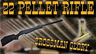 Crossman Shockwave .22 Air Rifle - Range & Reveiw