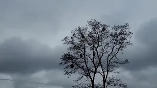 Ukrainian [Mig-29] pilot engages Russian [SU-35] pilot