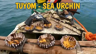 TUYOM -  SEA URCHIN - Ubay, Bohol, Philippines