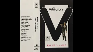 12 - THE VIBRATORS - Stiff Little Fingers (PURE MANIA, 1977)