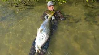 When a Good Plan Comes Together Part 2: Chasing Monster Fish in North Queensland